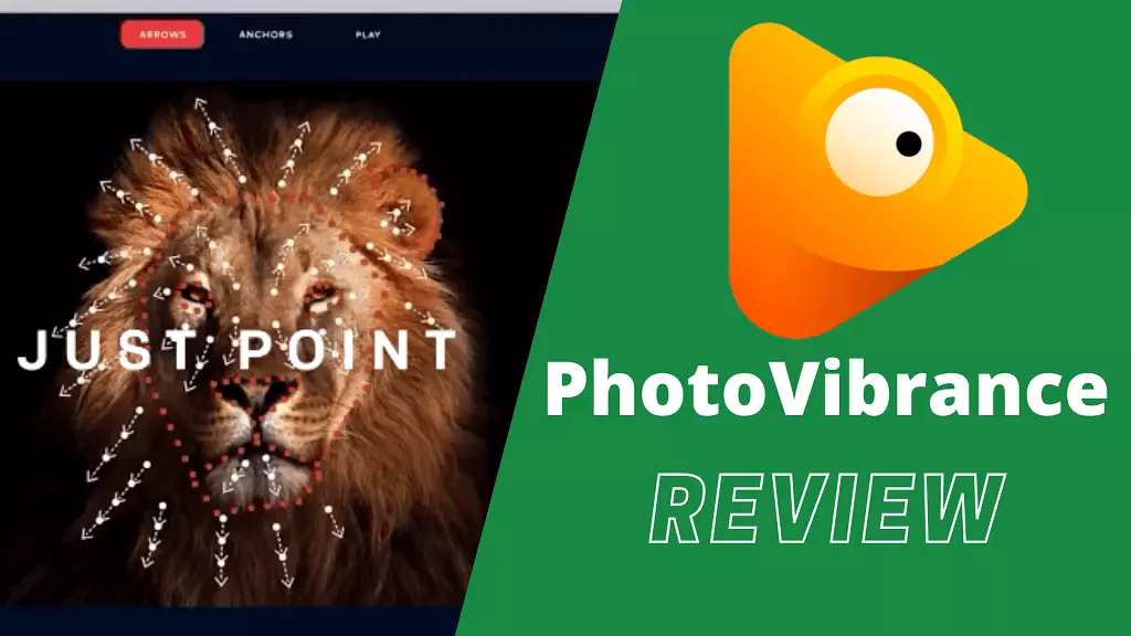 photovibrance review