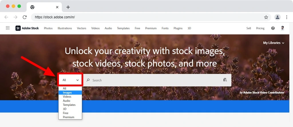 find right assets on adobe stock