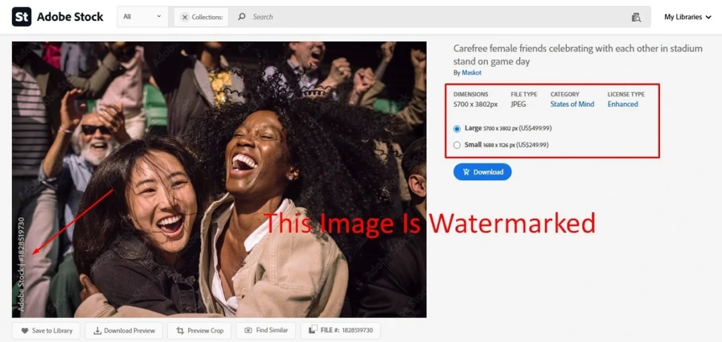 this image is watermarked